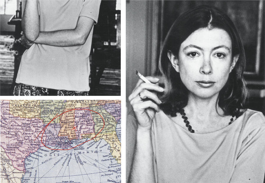 Resenha Silviano JoanDidion WEB