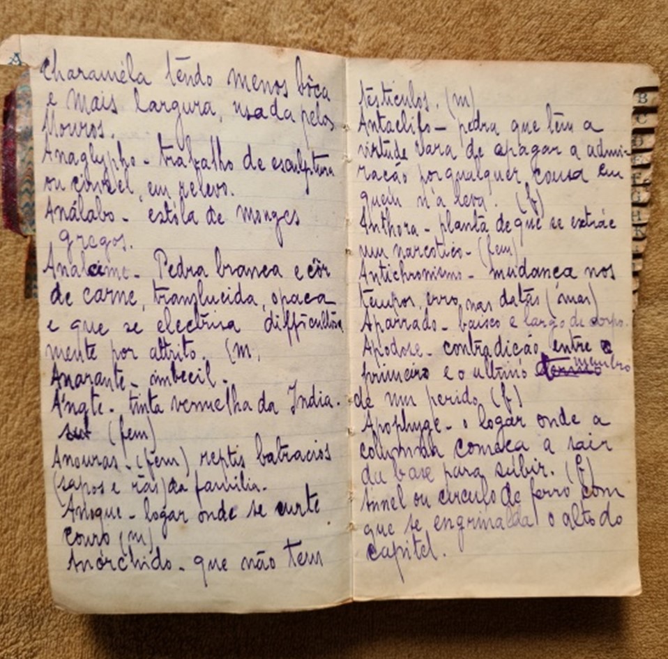 Ronald de Carvalho anotações fev.22.2