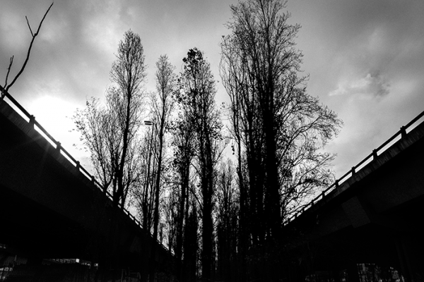 autopista-25-de-maio2_elisandro-dalcin_set20173A3ED703-F1CE-DFAB-C559-5AE4544FEB71.png