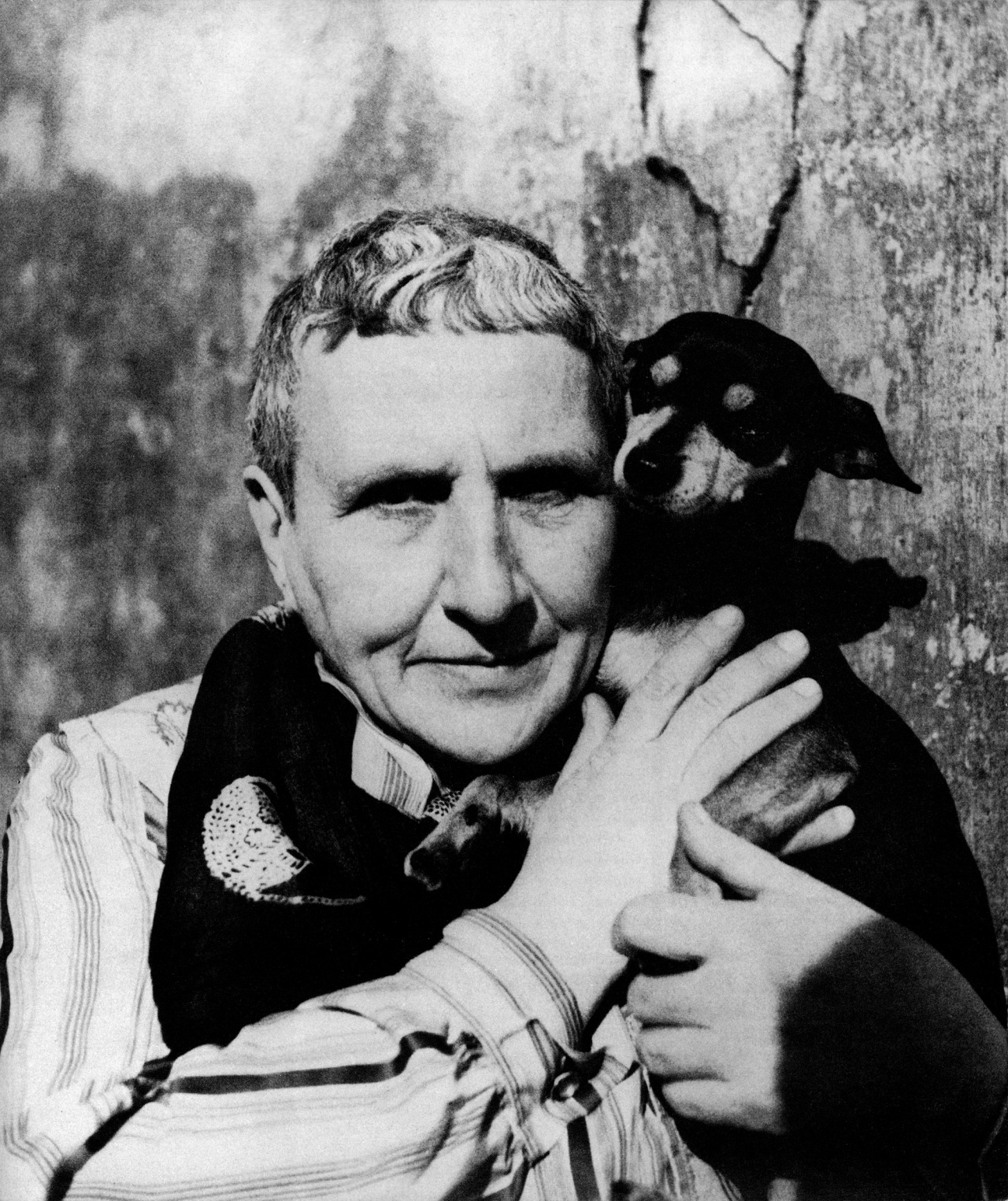 gertrude.stein infantil inedito04.03