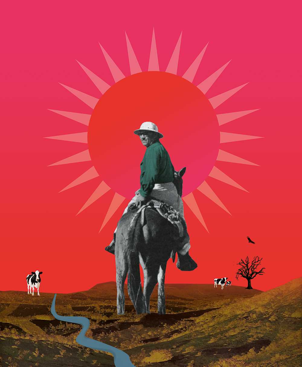 ilustra2
