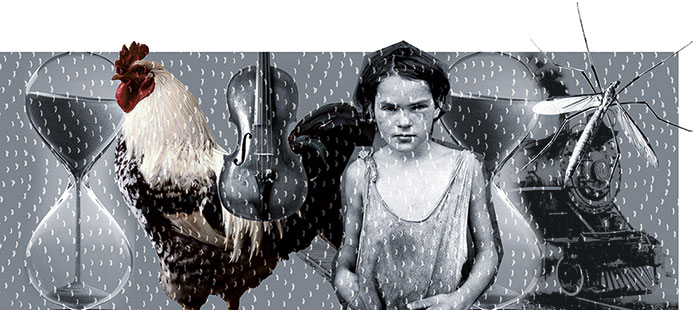 ilustra hallina ficowski jan17