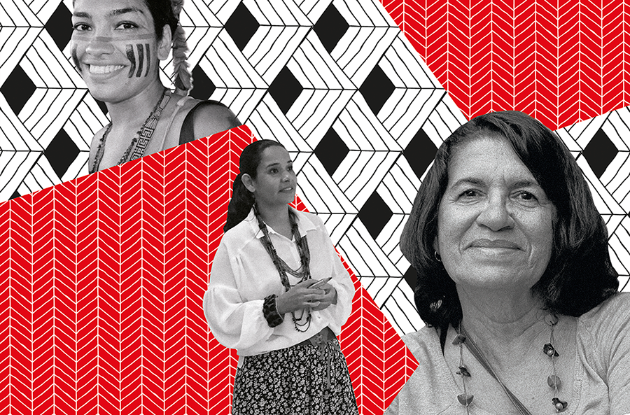 lit.mulheres.indigenas hanaluzia jun18.2