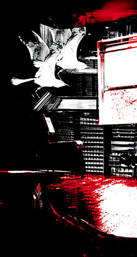 Ilustração por Hallina Beltrão