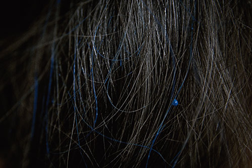 Foto por Priscilla Buhr
